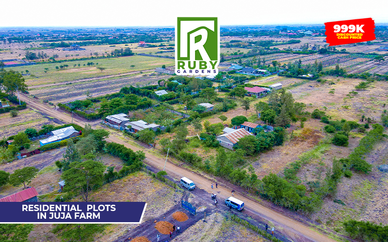 Ruby Gardens | Juja Farm — gallery