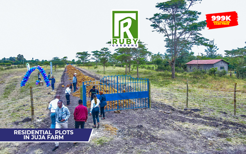 Ruby Gardens | Juja Farm — gallery