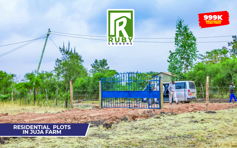 Ruby Gardens | Juja Farm — gallery