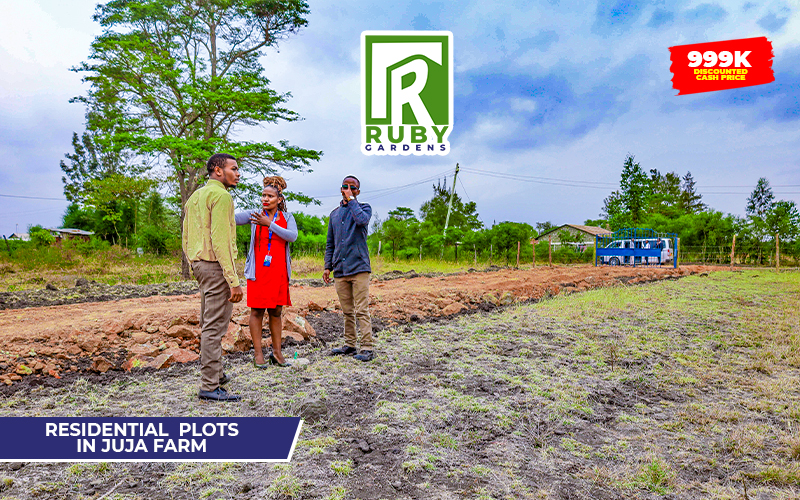 Ruby Gardens | Juja Farm — gallery