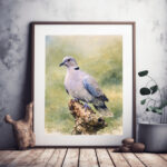 حمام الفاختة بهدوء ريفي ناعم – Collared Dove in Serene Rustic Harmony
