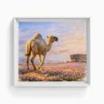 خطوات الجمل بين أزهار الصحراء - Camel Steps Through Desert Bloom