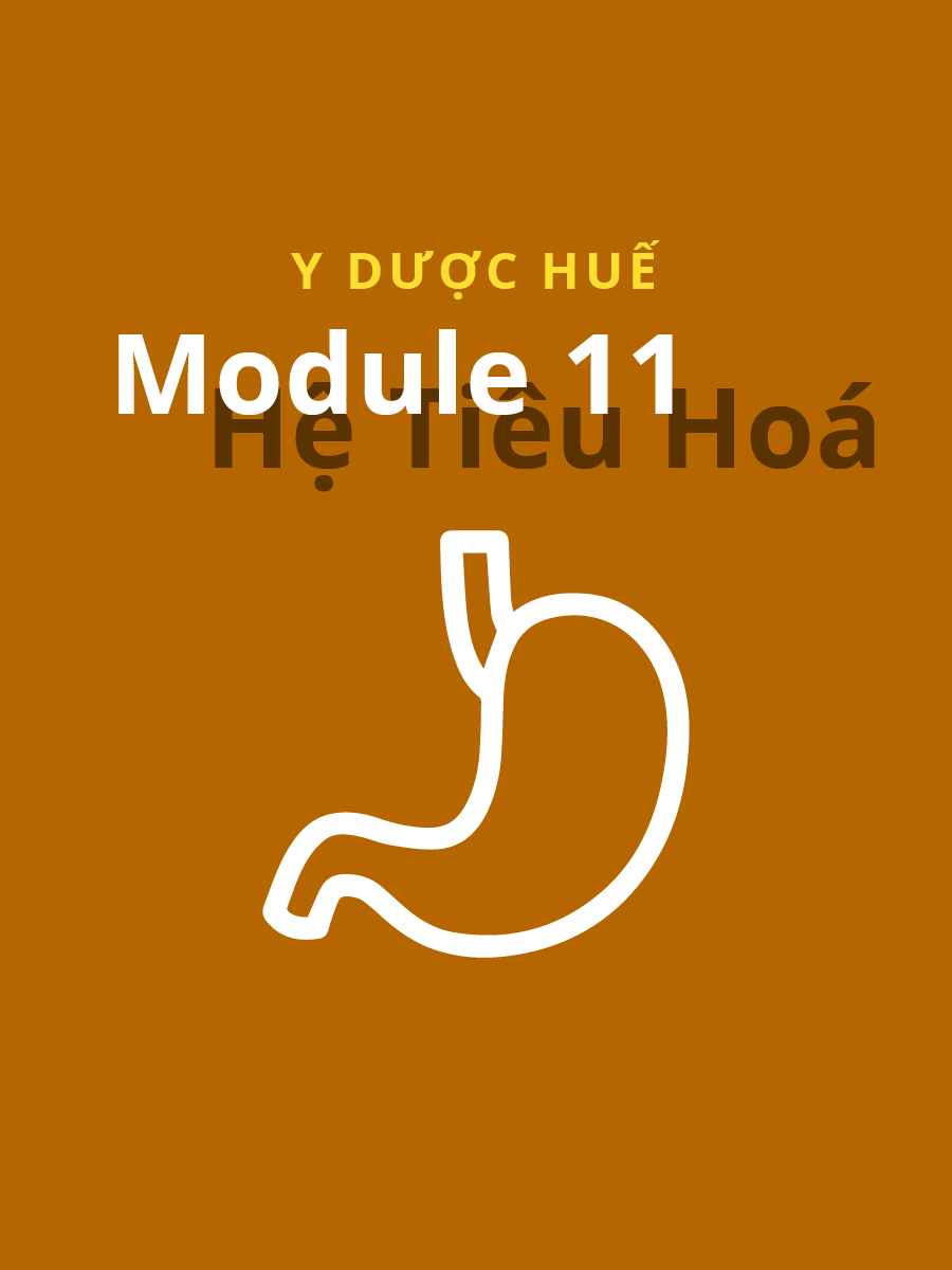 Module 11: Hệ tiêu hóa Y Dược Huế