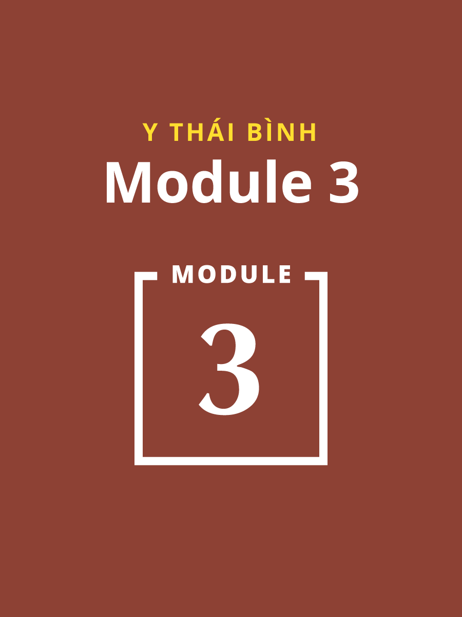 Module 3 Y Dược Thái Bình