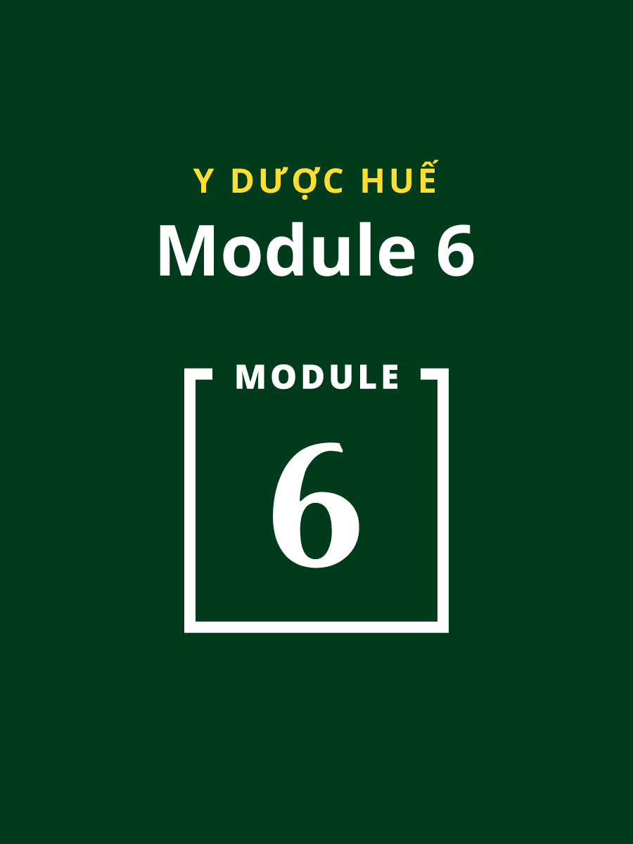 Module 6 Y Dược Huế