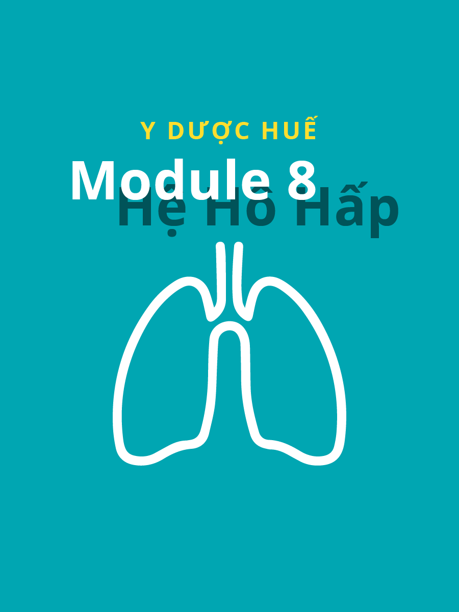 Module 8: Hệ hô hấp Y Dược Huế