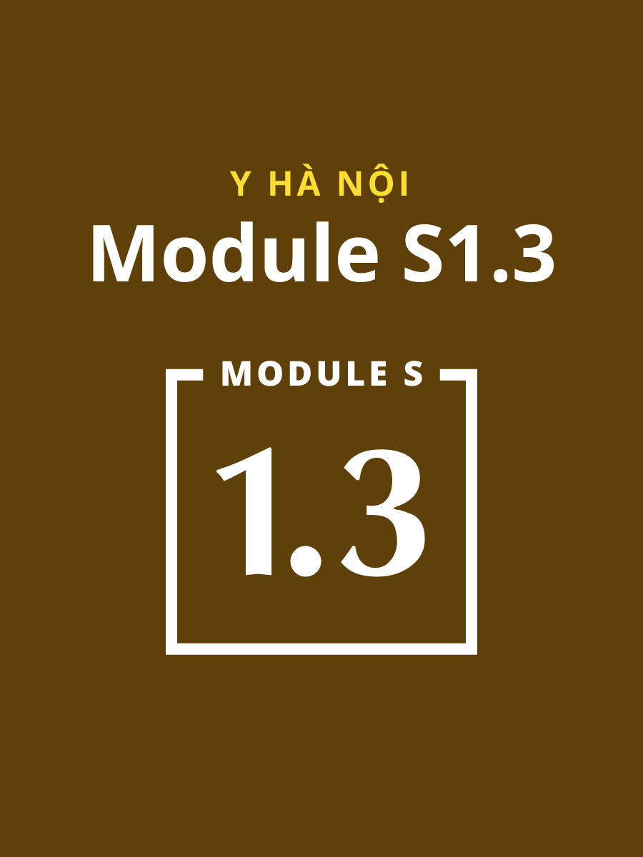 Module S1.3 Đại học Y Hà Nội Module S1.3 Đại học Y Hà Nội
