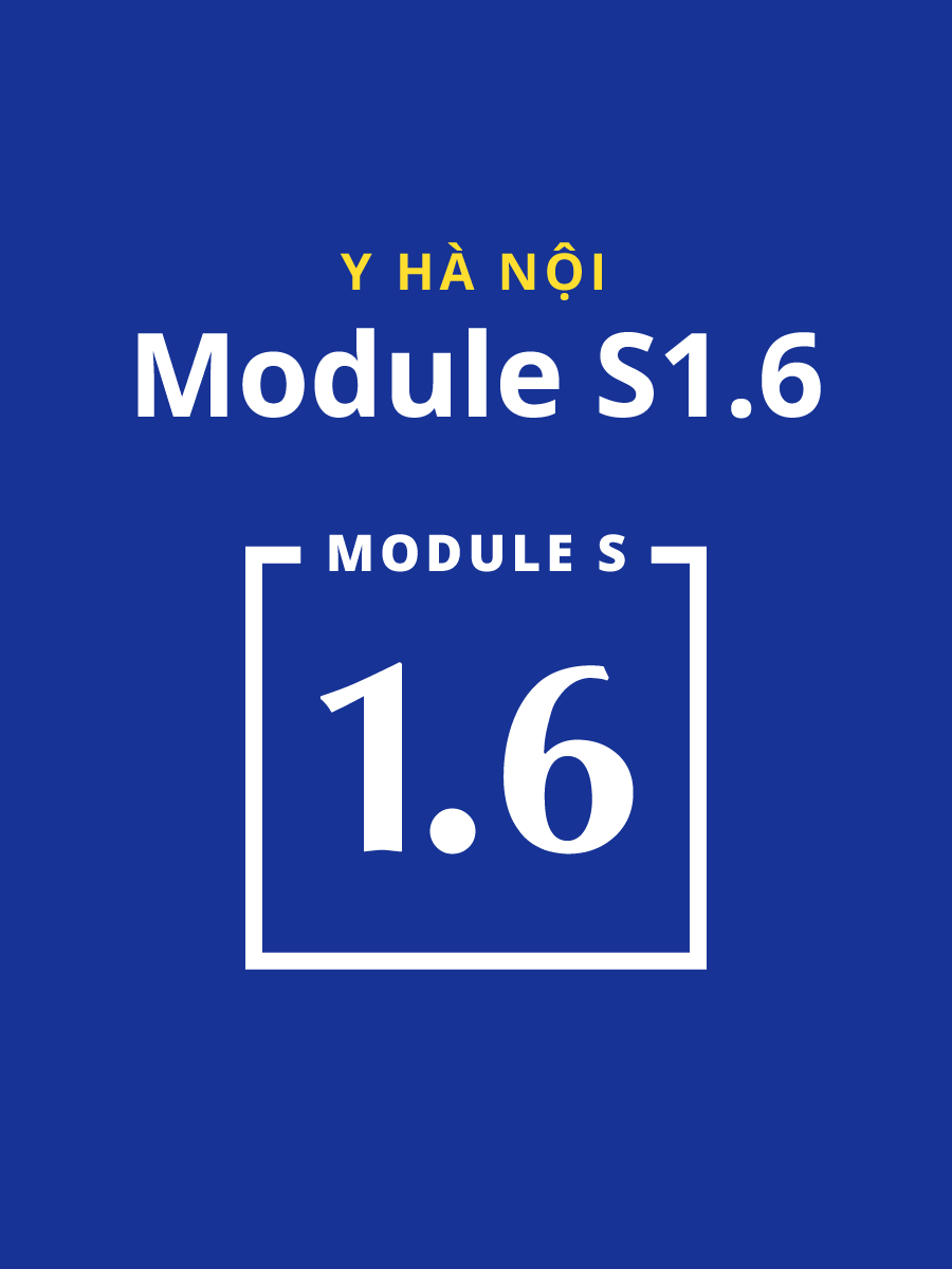 Module S1.6 Đại học Y Hà Nội