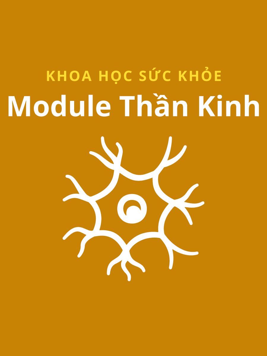 Module thần kinh Khoa Y Đại học Quốc gia Hồ Chí Minh