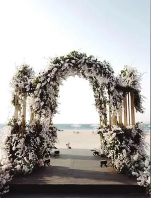 Coastal Dreams