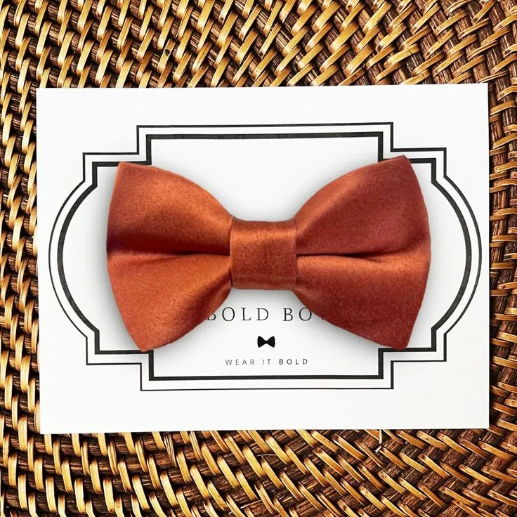 Pet Veil / Bowtie image 13