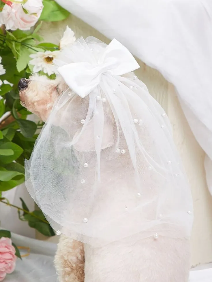 Pet Veil / Bowtie image 5