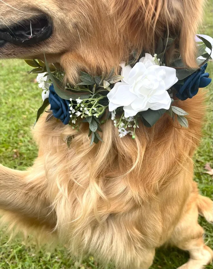 Pet Veil / Bowtie image 7