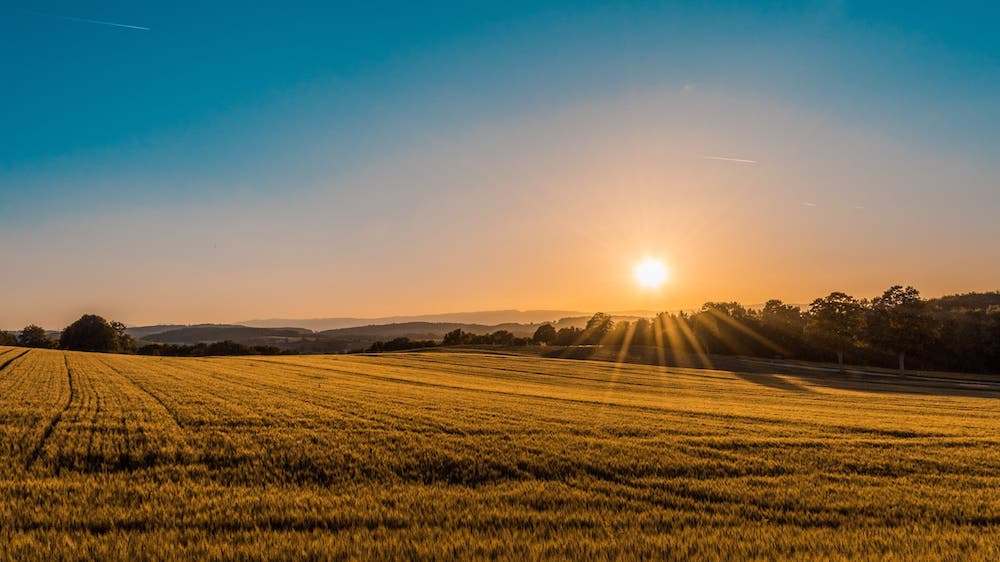 measured farming consultants