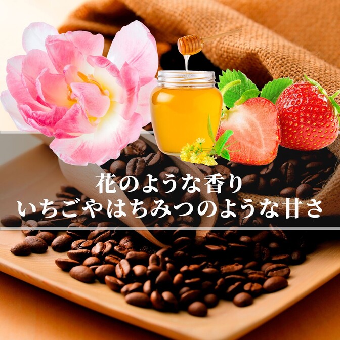 エチオピア ゲシャビレッジ農園 ゲイシャ ナチュラル 200g 浅煎り 焙煎当日に発送！