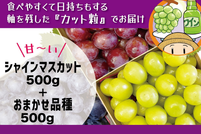 【ちょこっと訳あり】皮ごと食べられる種なしぶどうの2種食べ比べパック!
