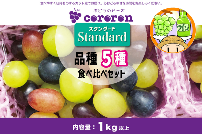【贈り物にもおすすめ!】皮ごと食べられる!種なしぶどう粒の詰め合わせ 品種5種1kg スタンダード