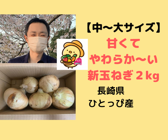 【中~大サイズ】甘くてやわらか~い 新玉ねぎ2 kg(生サラダやスープで食べよう!)
