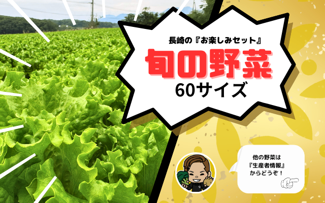 【リベポイントok】旬の野菜 お楽しみセット(2種以上)