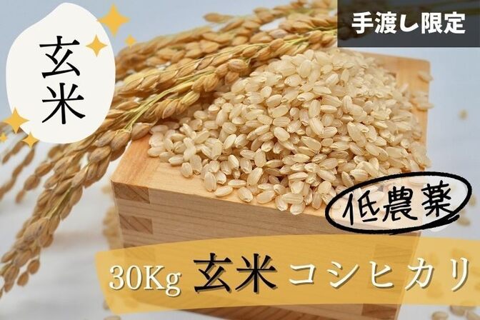 【手渡し限定】【新米】【一等米】農薬低濃度(基準値の1/5)コシヒカリ 米袋 玄米30kg