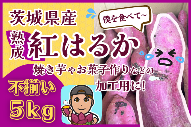 【訳あり品】茨城県産 さつまいも 紅はるか サイズいろいろ 5kg 基本送料込みリベポ歓迎ラスト1箱