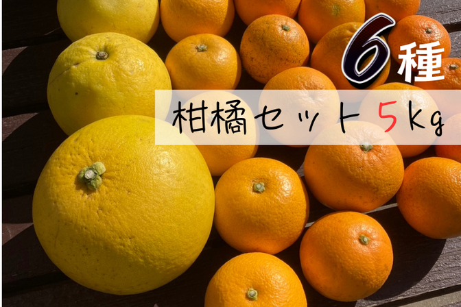 柑橘10kg食べ比べ】晩白柚、ネーブル、はっさく、チャンドラ 柑橘10kg食べ比べ】晩白柚、ネーブル、はっさく、チャンドラ