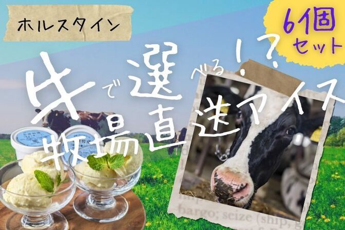 *牛で選べる!? 牧場直送アイス*80㎖×6個【北海道送料無料】『ちびちびちびっくからの贈りもの』