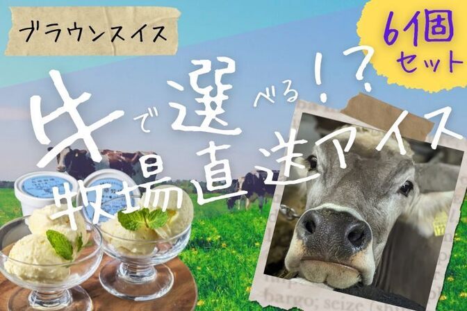 【希少種!】 牧場直送アイス*80㎖×6個《北海道送料無料》『イヴからの贈りもの』