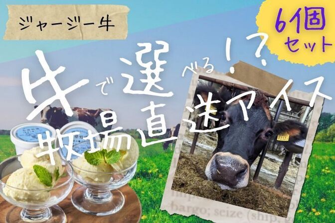 *牛で選べる!? 牧場直送アイス*80㎖×6個【北海道送料無料】『じじからの贈りもの』(ジャージー)
