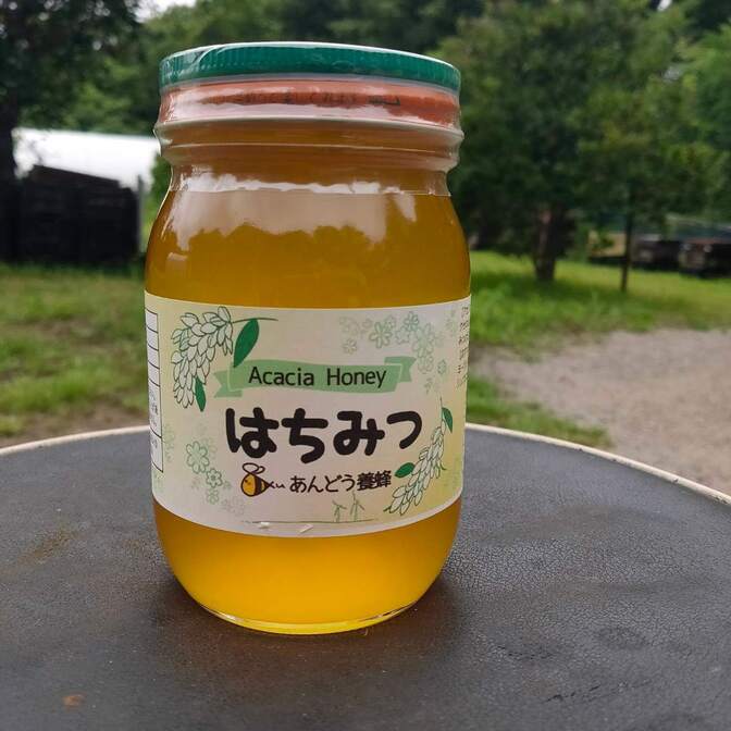 【アカシア】はちみつ 600g 1瓶 蜂蜜 ハチミツ セイヨウミツバチ 鳥取県産