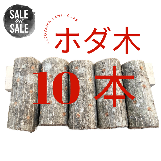 【リベポイント歓迎!】しいたけ ホダ木 10本