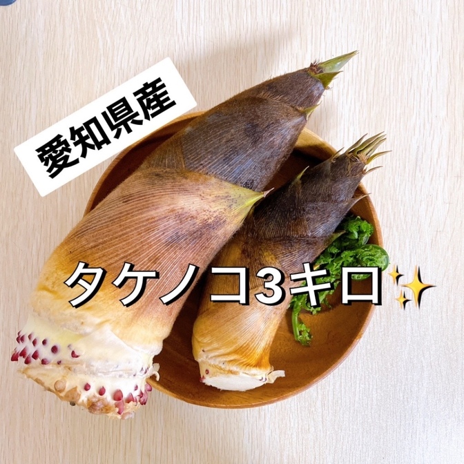 超新鮮!!朝どれ天然タケノコ3キロ