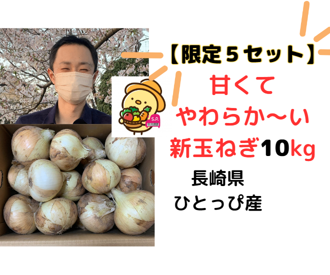 【限定5セット!】甘くてやわらか~い新玉ねぎ10 kg【中~大サイズ】(生サラダやスープで食べよう)