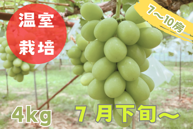 【温室ハウス栽培】【ご家庭用】シャインマスカット4kg