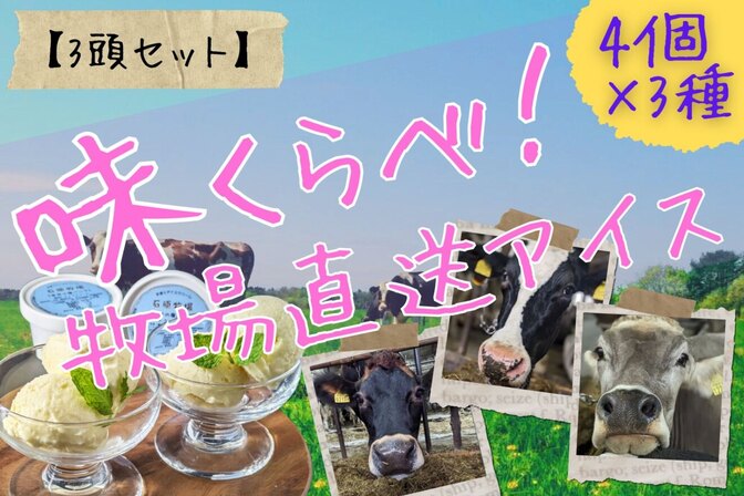 【3頭セット】3頭味くらべ! 牧場直送アイス【北海道送料込】80㎖×4個×3種(12個セット)