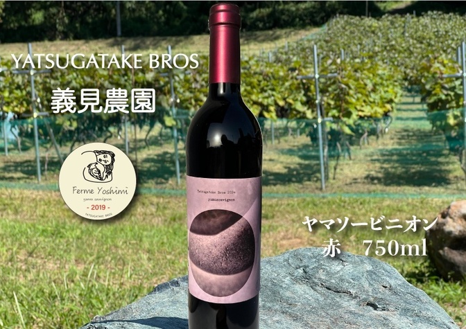 2本セット 山梨県北杜市ふるさと納税販売中 赤ワイン ヤマソービニオン