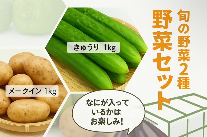【旬の野菜2種】人気野菜セット