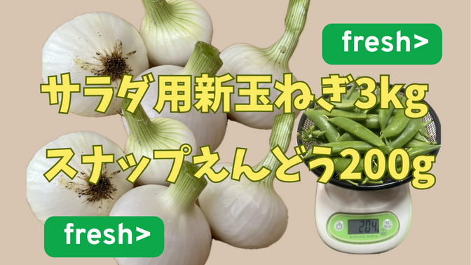 サラダ用新玉ねぎ 3kgとスナップえんどう200g