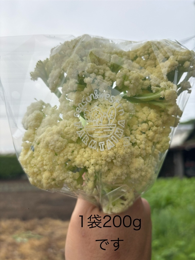 低カロリーでヘルシー!ほんのり甘いスティックカリフラワー
”カリフローレ”茹でてサラダや炒め物に