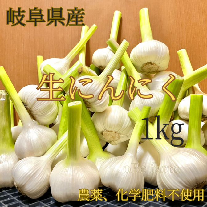 この時期しか食べられない!爽やかな生ニンニク