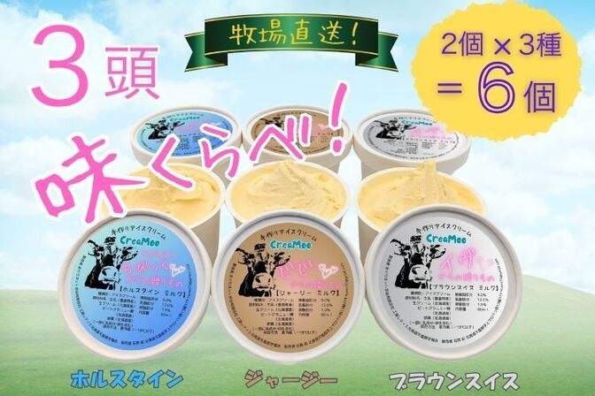【3頭セット】3頭味くらべ! 牧場直送アイス【北海道送料込】80㎖×2個×3種(6個セット)