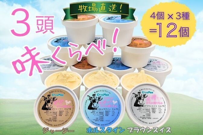 【3頭セット】3頭味くらべ! 牧場直送アイス【北海道送料込】80㎖×4個×3種(12個セット)