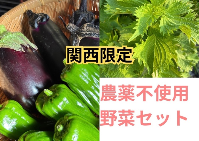 いいご縁　農薬不使用野菜セット　関西限定お試し販売2025夏