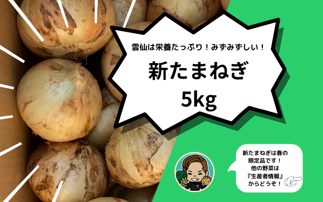 【春限定】新たまねぎ5kg【シャキシャキ!雲仙からお届け】