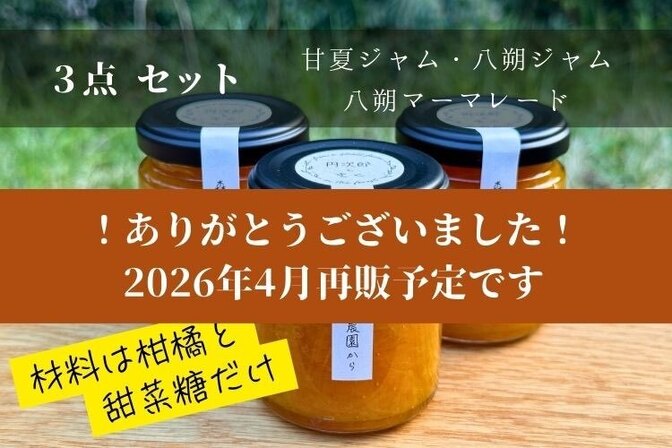 【八朔ジャム&マーマレードと甘夏ジャムの3個セット】甘さ控えめで作りました＜送料込み＞　