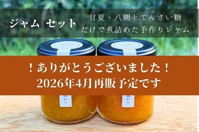 【甘夏ジャムと八朔ジャムの2個セット】実と甜菜糖だけで作った甘さ控えめジャム＜送料込み＞