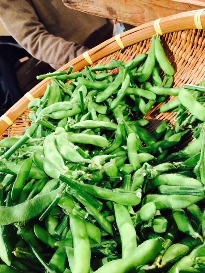 手が止まらん!!茶豆風味の生枝豆(230g×4袋)
