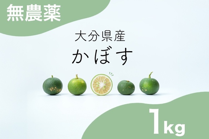【大分県産】無農薬かぼす1kg　ご注文をいただいてから収穫します🍋‍🟩