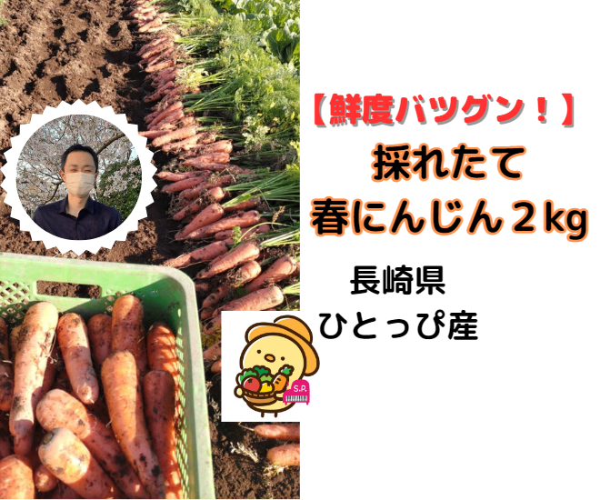 【鮮度抜群】採れたて春ニンジン2㎏