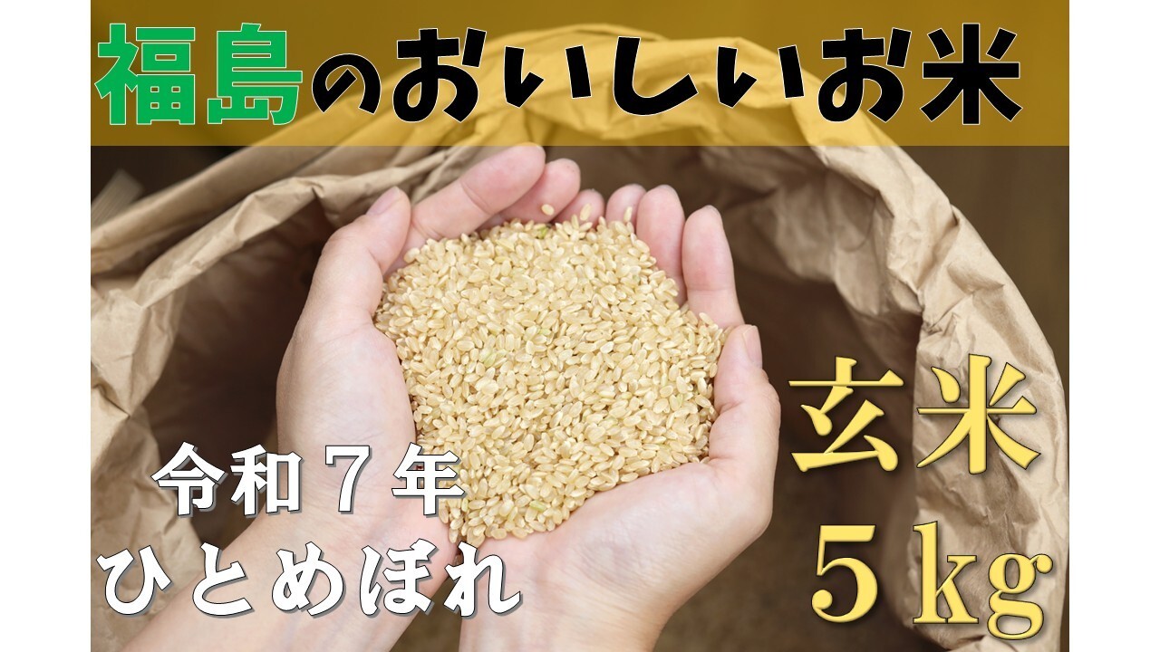 ⭐️令和6年度　福島産　ひとめぼれ　お米　玄米10kg ⭐️令和6年度 福島産 ひとめぼれ お米 玄米10kg